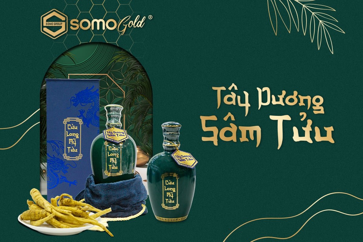 Tây Dương Sâm Tửu - Ra mắt phiên bản mini độc đáo